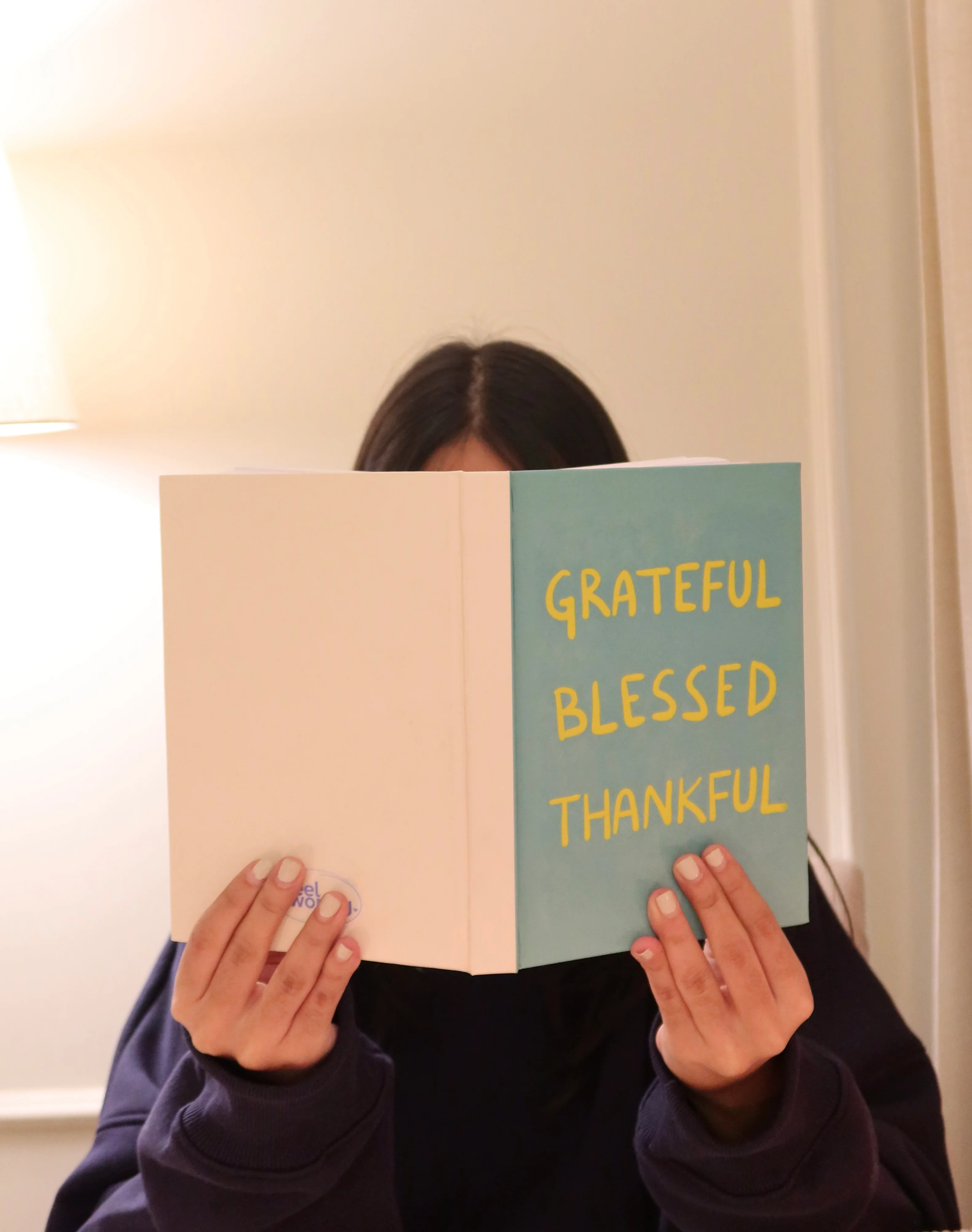 Gratitude Reminder Journal - Image 7